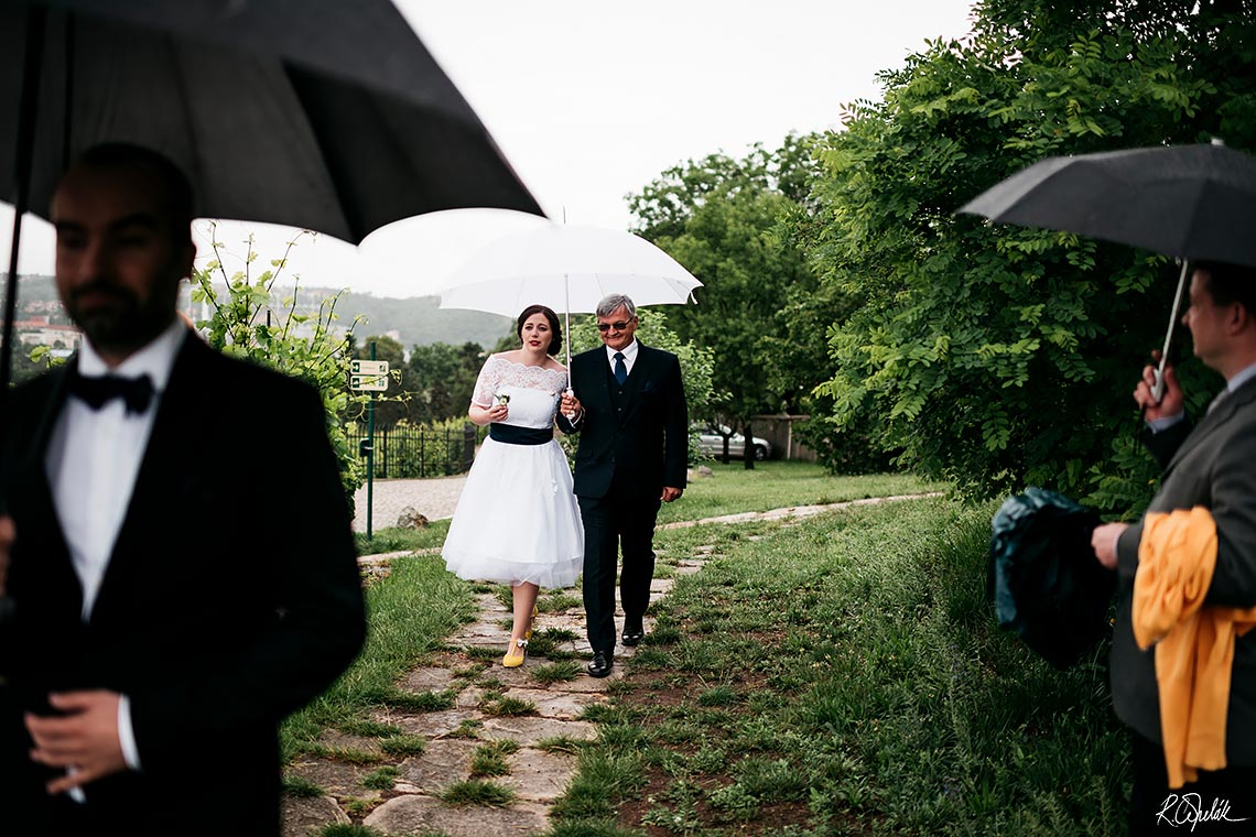 příchod nevěsty na svatební obřad v botanické zahradě v Praze