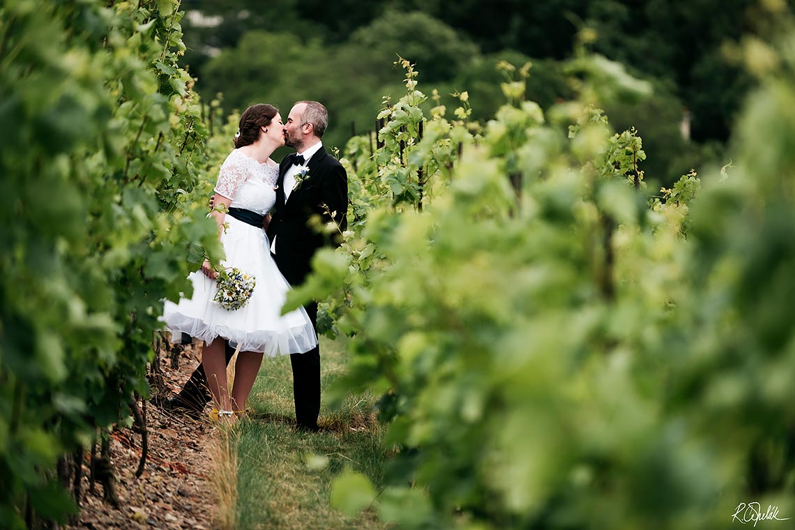 svatební fotografie ve vinici