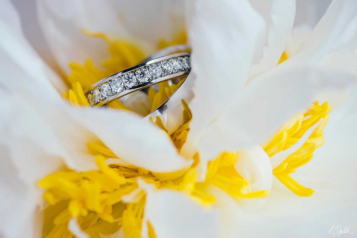 svatební fotografie snubní prstýnky v květině