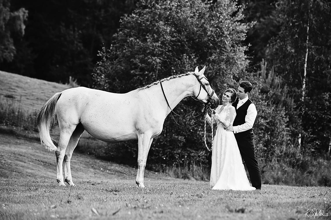 černobílá svatební fotografie s koněm