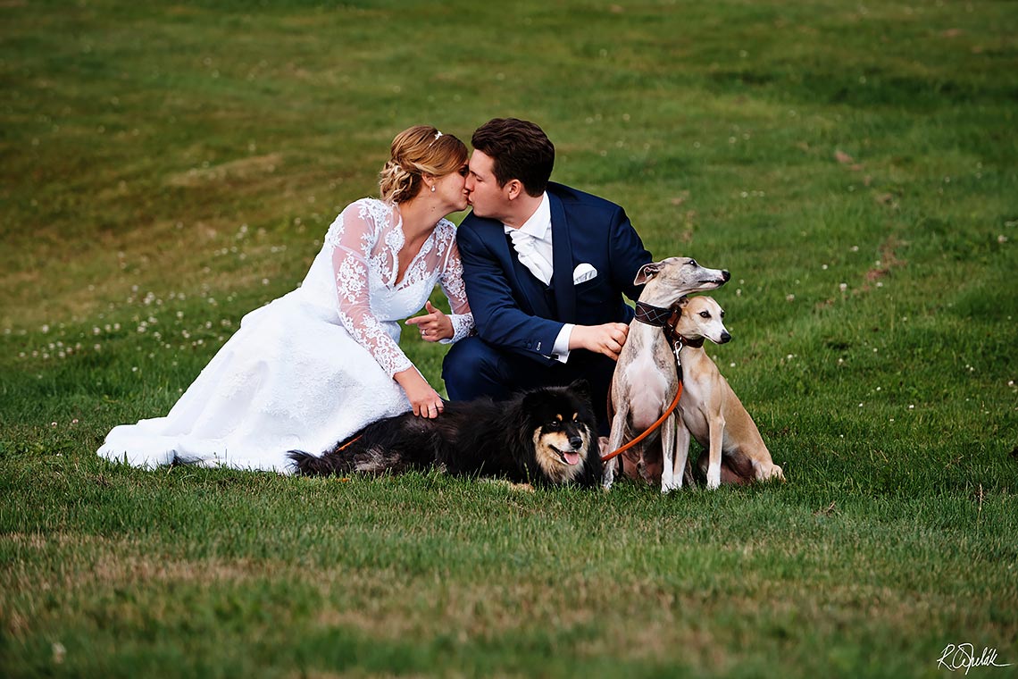 svatební fotografie se psy