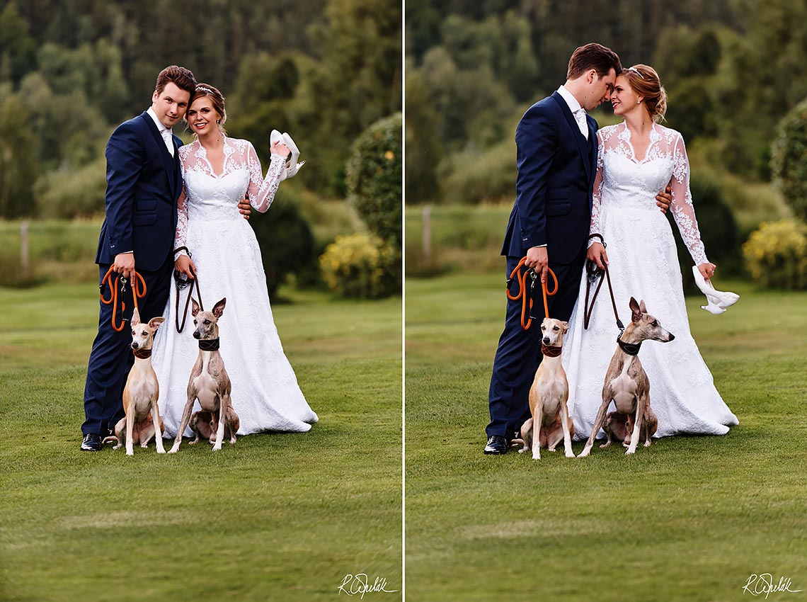 svatební fotografie novomanželů se psy