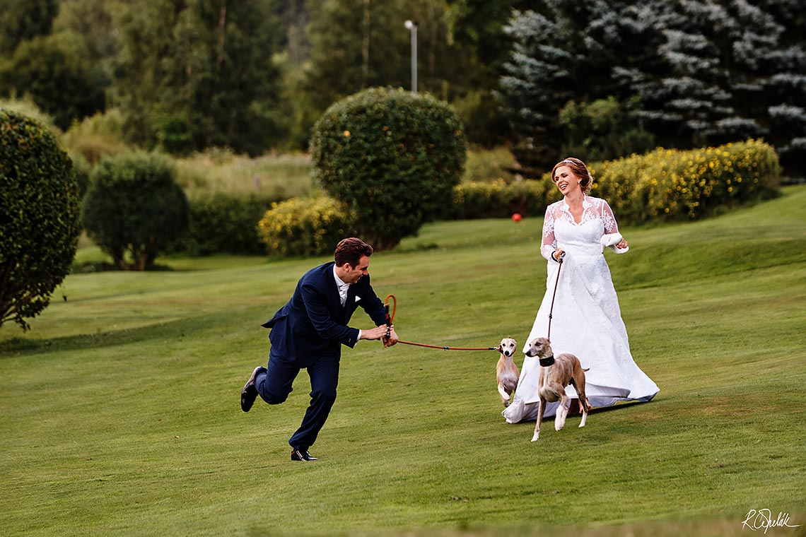 vtipná svatební fotografie se psy