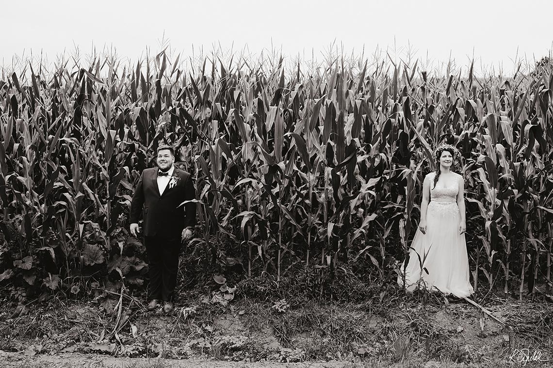 netradiční svatební fotografie v kukuřičném poli