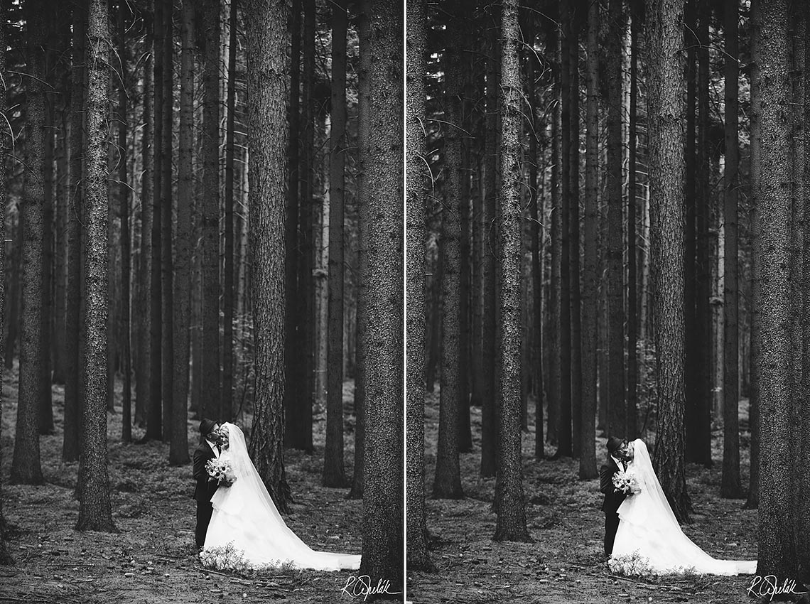 svatební fotografie v lese