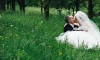 svatební fotografie v třešňovém sadu na Petříně
