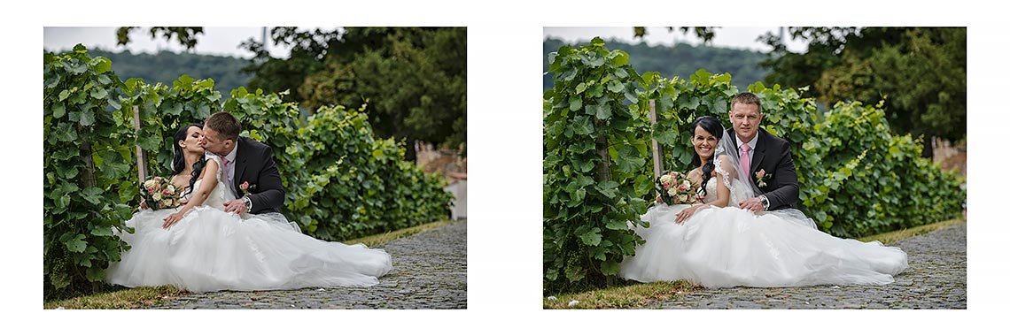 svatební fotografie ženicha a nevěsty ve vinici svatební fotografie ženicha a nevěsty ve vinici